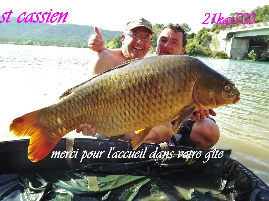 Gite De Saint Cassien مونتارو المظهر الخارجي الصورة